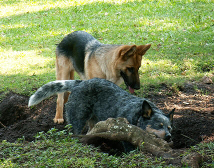 Finding buried treasure