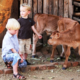 Farmyard friends