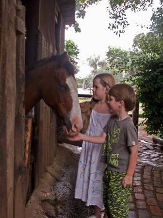 Cheyenne and friends