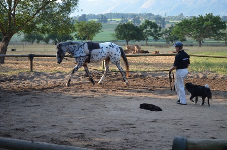 Lunging with a difference: surrounded by beauty and friends