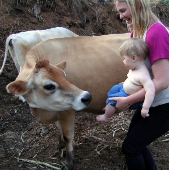 This is where milk comes from