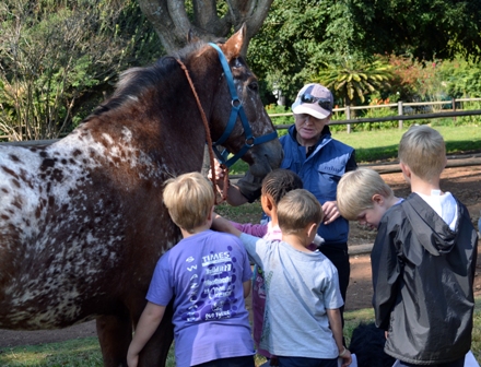 Learn all aspects of horsemanship