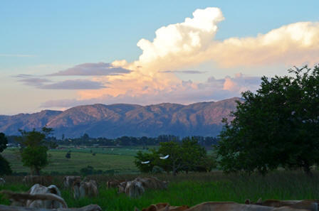 Nyanza evening view of Mdzimba Mountains