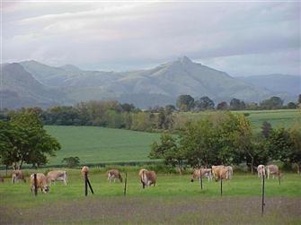 Nyanza evening